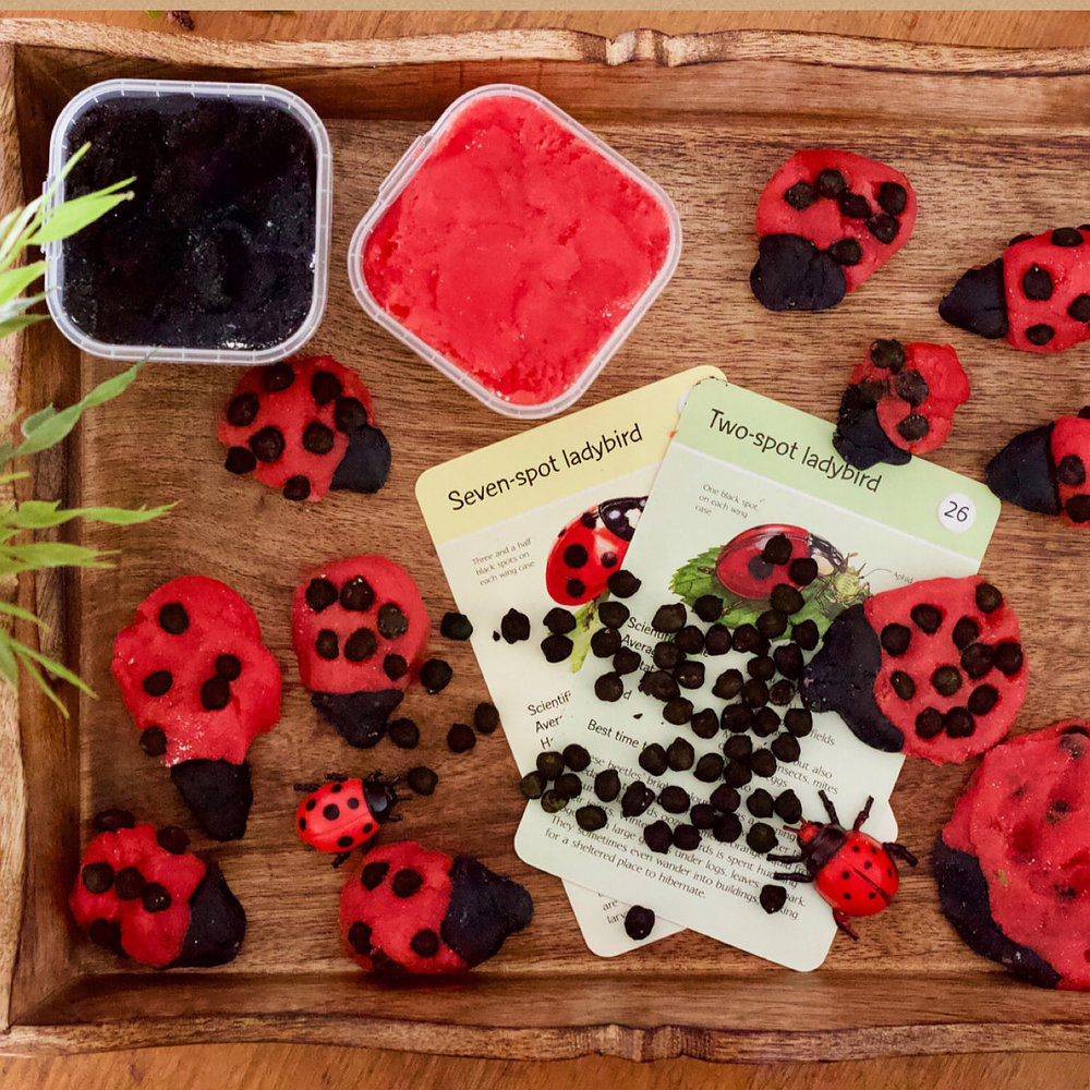 Image of Tiny Land's ladybird making kit, bringing simple Maths, Art and Nature together!